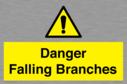 danger-falling-branches~